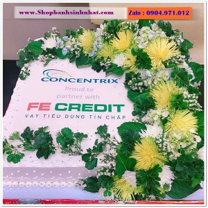 Bánh Sinh Nhật Công Ty - IT03